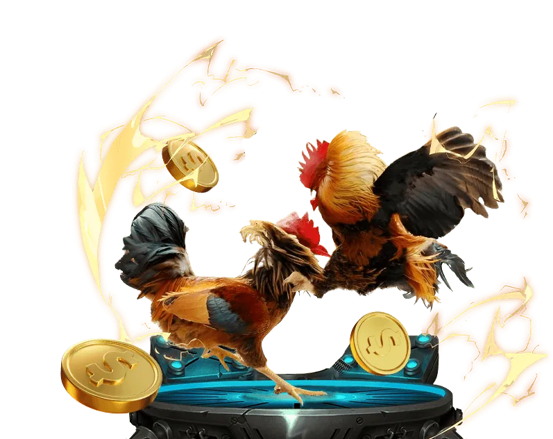 Khuyến Mãi Đá Gà 88ag